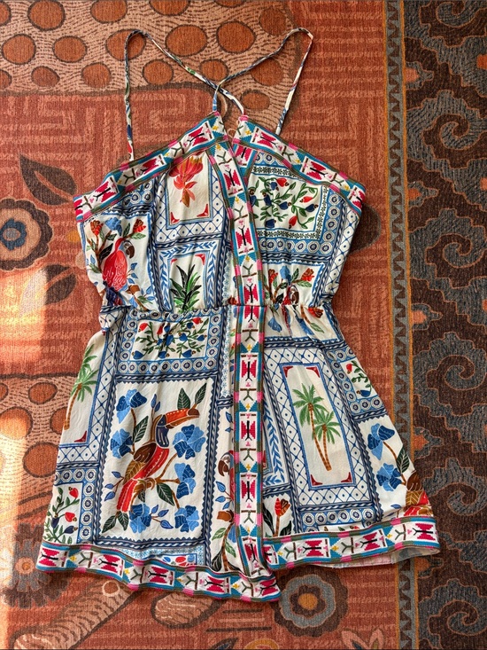 FARM Rio Dresses & Skirts - Farm Rio Embroidered Mini Dress
